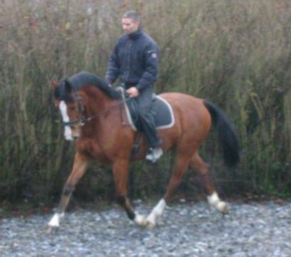 Michael rider en klients hest i forbindelse med en halthedsundersøgelse